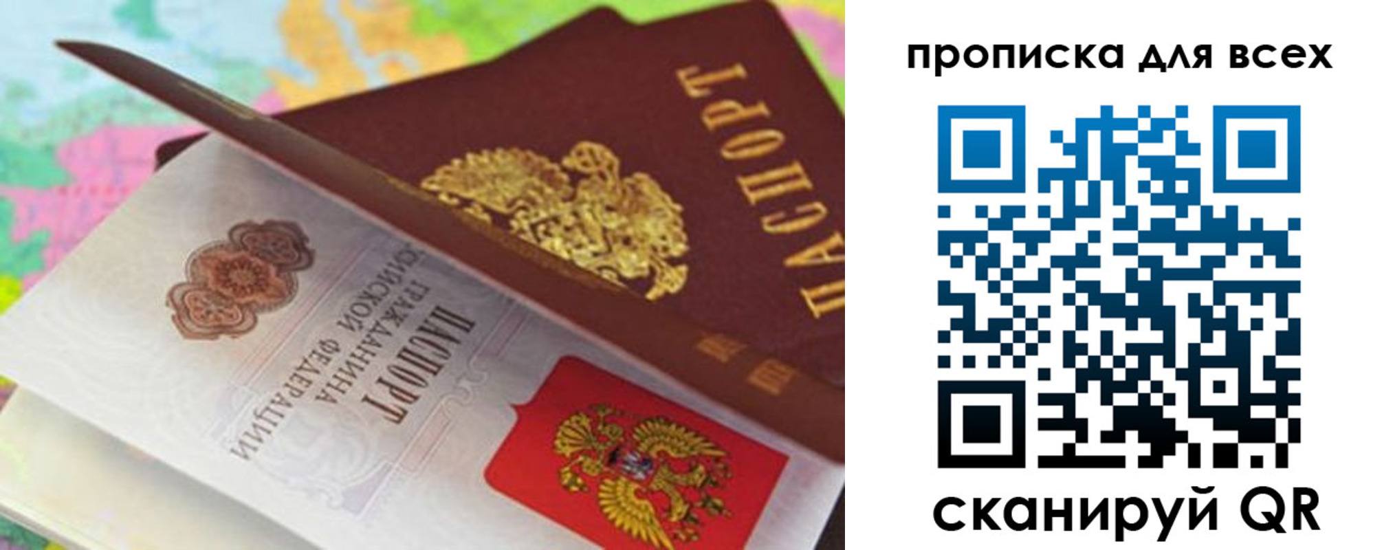 прописка для школы в Александрове